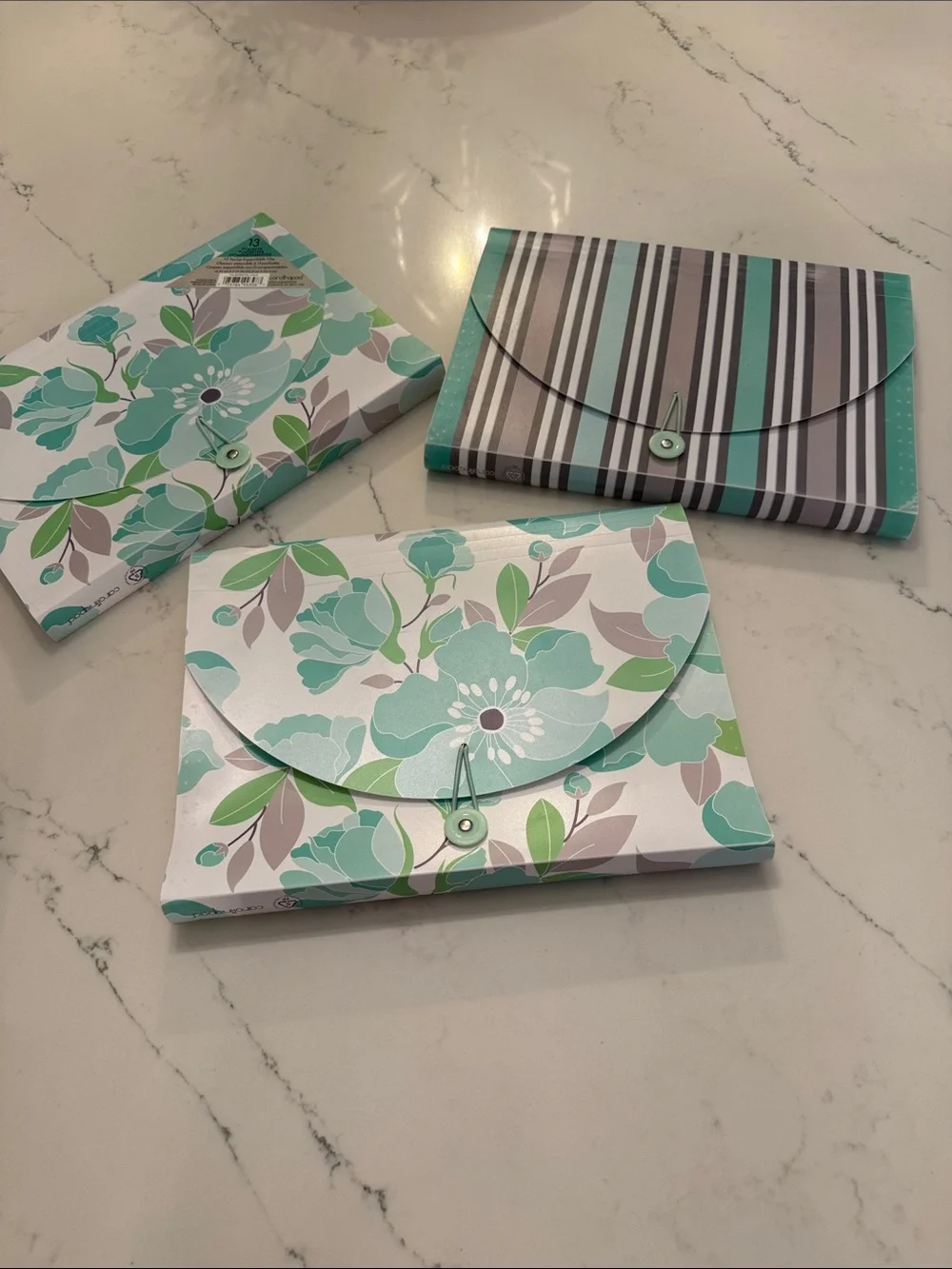 Floral & Stripe Document Envelope Set (3) - Mint Green